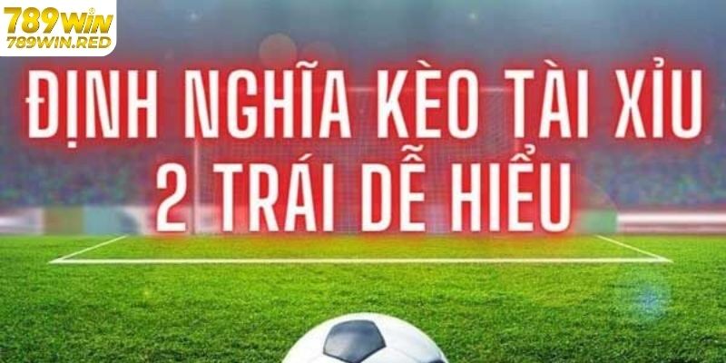 Giới thiệu tài xỉu 2 trái tại 789WIN