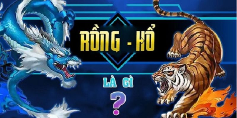 Giới thiệu rồng hổ tại 789WIN